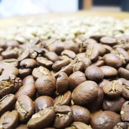 Les varietés du café Arabica au travers du Nicaragua Miraflorès